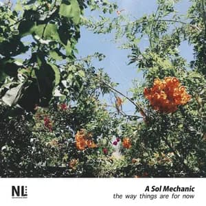 A Sol Mechanic avatar