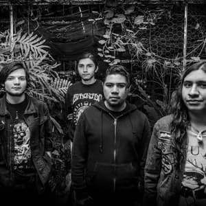 Vinnum Sabbathi avatar