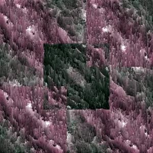 TransHumanist avatar