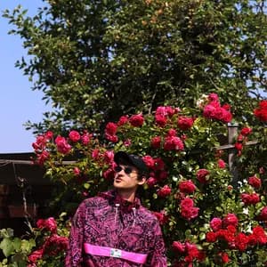 Mondel Arenov avatar