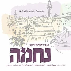 Shimshon Neiman avatar