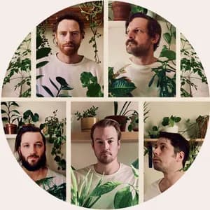 Royal Canoe avatar