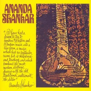 Ananda Shankar avatar
