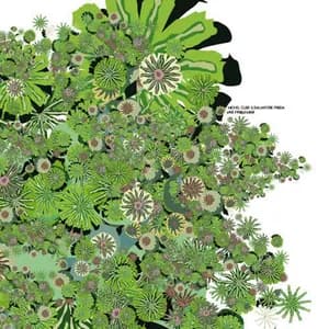 Salvatore Freda avatar