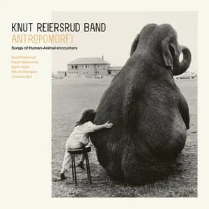 Knut Reiersrud Band avatar