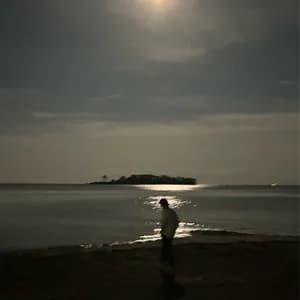 Paulie Leparik avatar