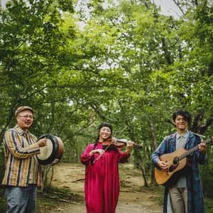 John John Festival avatar