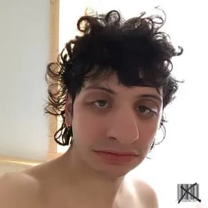 Hubert Lenoir avatar