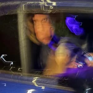 Maximilian Ikarus avatar