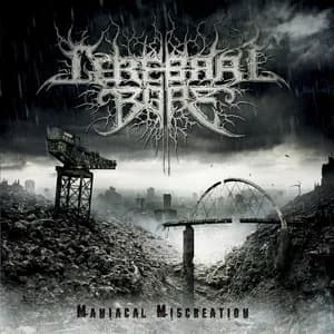 Cerebral Bore avatar