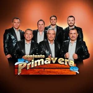 Conjunto Primavera avatar