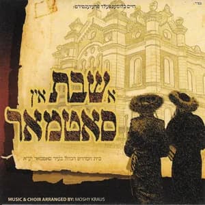 Niggunei Satmar avatar