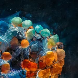 Csaba Palotaï avatar