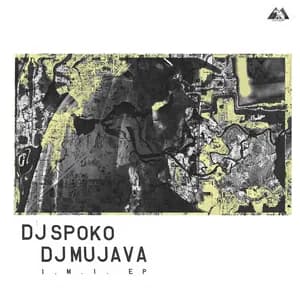 DJ Spoko avatar