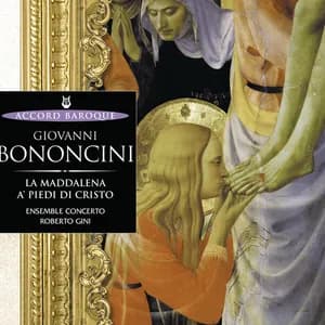 Mario Cecchetti avatar