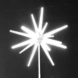 The American Dollar avatar