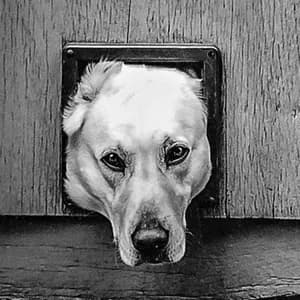 The Jazz Seekers avatar