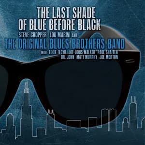 The Blues Brothers Band avatar