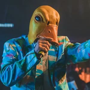 Ingo ohne Flamingo avatar