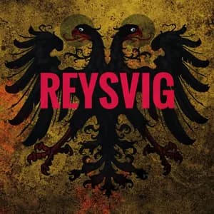 Reysvig avatar