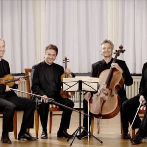 Auryn Quartet avatar