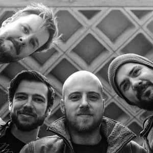 Elephant Tree avatar