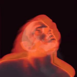 Daniël de Jongh avatar