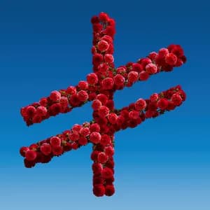 Andrés de Jerez avatar