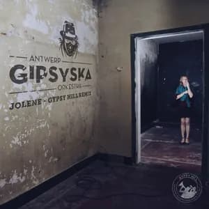 Antwerp Gipsy-Ska Orkestra avatar