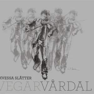 Vegar Vårdal avatar