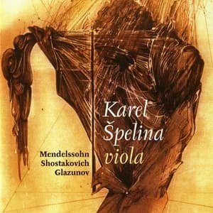 Karel Špelina avatar