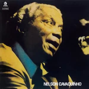 Nelson Cavaquinho avatar