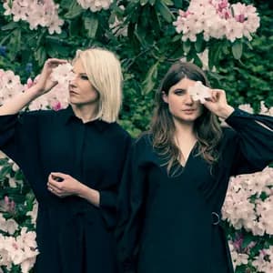 Smoke Fairies avatar