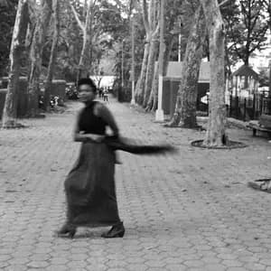 Lynette Williams avatar