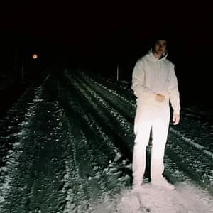 William Segerdahl avatar