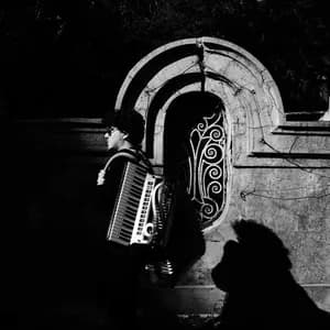 Antonino De Luca avatar