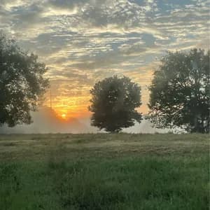 Holly Waxwing avatar