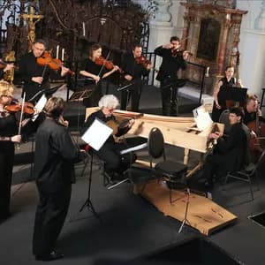 Cappella Gabetta avatar