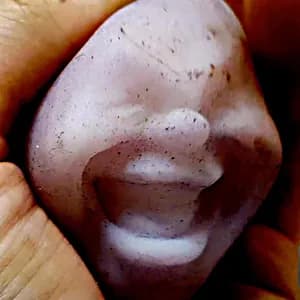 Amnesia Scanner avatar