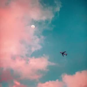 The Pilot Files avatar