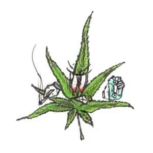 WEEDMANE avatar