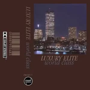 luxury elite avatar