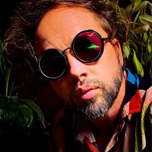 The Polish Ambassador avatar