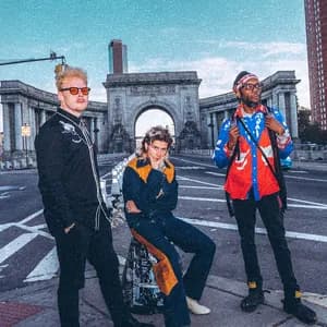 Too Many Zooz avatar
