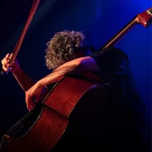 Renaud Garcia-Fons avatar