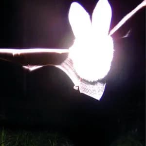 93FEETOFSMOKE avatar