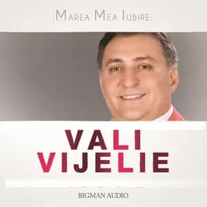 Vali Vijelie avatar