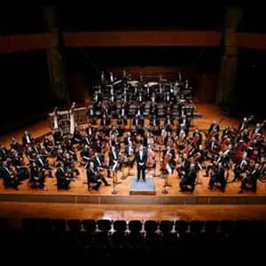 Orchestre national du Capitole de Toulouse avatar