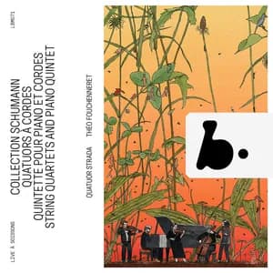 Quatuor Strada avatar