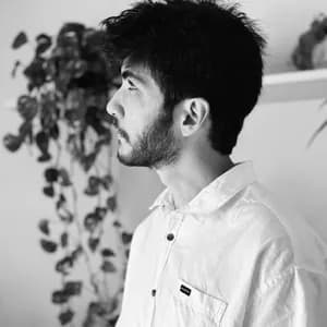 Ricardo Schneider avatar